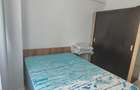 Apartament cu 2 camere decomandat în Lunca Cetățuii - 4