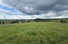 Teren | 13600 mp | Marisel - 4