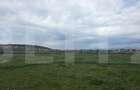Teren intravilan, vedere panoramica, 610 mp, zona Simeria - 3