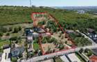 1.4 HA INTRAVILAN - Str. Sofiei - Nymphaea - IMOBIHOR - 8