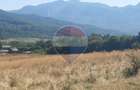 Teren extravilan-pasune, 6,300mp Rasnov / Soseaua Risnov-Paraul Rece