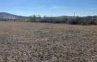 Teren intravilan de vanzare in comuna Tarnova, sat Agri?u Mare, jude?ul Arad - 1