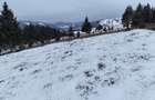 Teren extravilan de vanzare in Bucovina Breaza zona Paraul Negrei - 5