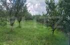 Teren de vanzare cu cabana si livada, 1300 mp, zona Viile Satu Mare - 8