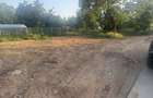 Vand teren plat urleta strada bisericii. La 5km de campina Dreptunghiular 553mp pret 28mp