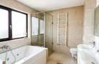 Vila cu 6 camere 4 bai, zona Spitalul Judetean, cu spa, garaj, beci - 2