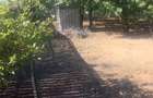 Casă cu grădină în Giubega, Județul Dolj - 3