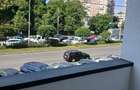 Iuliu Maniu (parc si metrou) - 1