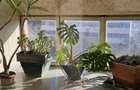 Apartament cu 4 camere, Simeria, Sfantu Gheorghe - 6