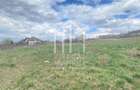 Teren intravilan de vanzare in Sibiu, suprafata 580 mp, Gusterita - 4