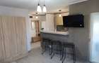 Inchiriez apartament 1 camera Str. Cocorilor - 8