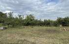 Teren intravilan 2.800 mp | Schit Alba Iulia | 2 fronturi | utilita?i | hala + construc?ie - 3