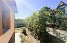 Gospodarie In Teslui | Teren 2700 mp | Casa+anexe - 10
