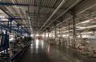 Vanzare/Inchiriere | Proprietate Industriala 9.277 mp | Moldova Noua - 10