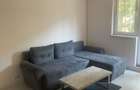 Apartament cu 3 camere decomandat în Nufărul - 3