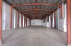 Zona Drumul Intre Tarlale - hala 450mp si birouri 200mp - 1