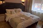 Apartament 4 camere in vila, mobilat si utilat modern zona Grivitei - 6