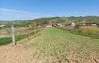 Teren 5,70 ha intravilan+extravilan, Vladimir-Andreesti , Jud.Gorj - 6