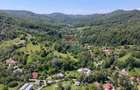 Teren Intravilan 8.277 mp Provița de Jos – Utilități, Râu & Pădure - 2