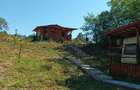 Vand casa de vacanta in TES, jud. Timis - 1