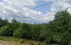 Teren intravilan Furesti, jud. Arges - ID R1965298 - 1