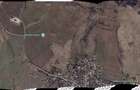 Vanzare VIE 16,5 ha, teren agricol Boldesti-Scaeni, langa crama Feruccio - 6