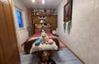 Orizont, apartament mobilat si utilat - 9