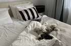 Apartament 2 camere Titan - 2