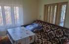 Casa, spatiu comercial, teren 3025 mp, sat Ciuperceni, pret atragator