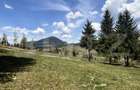Teren in Vatra Dornei, str Rosu, 8450 mp, extravilan + intravilan - 13