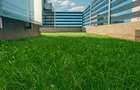 Apartament 2 camere de inchiriat - 6