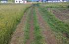 Vand teren zona Bivolarie - 2