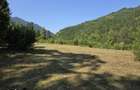 Vand teren intravilan 5.000 mp Sat Brate?, Com. Tarcau, Jud. Neam? - 5
