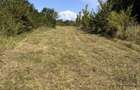 Teren de 2760 mp, în Loloiasca - 3