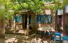 CASA BATRANEASCA + TEREN 1169 MP SENDRENI┃ - 3