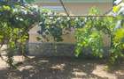 Casa de vanzare intr-o zona de poveste Francesti, comuna Pestisani, judetul Gorj - 3