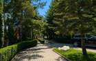 VILA PREMIUM SNAGOV - IESIRE LA LAC - TEREN 3000MP - 6