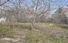 Teren intravilan 720 mp - Kamsas - 245.000 euro (Cod E6)