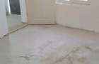 Vand casa in Petin Satu Mare