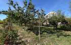 Casa individuala, 86 mp, teren 7370 mp, zona Bilca