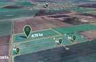 Teren agricol de 11,75 ha de vanzare, la 1,5 km de Turnu, jud. Arad - 2