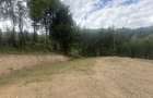 Teren cu panoramic Poiana Marului - 7