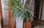 Apartament 3 camere, etaj 3 din 4