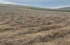 teren agricol arabil - 4