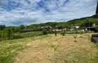 Casa ecologica din beton de canepa, 200 mp, 11 arii teren, zona Tautii