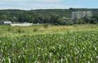 Teren 8.800mp Mioveni / acces drum public / utilitati aproape / investitie - 4