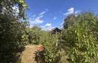 CASA + GOSPODARIE IN STALPENI ARGE? 46.000 - 4