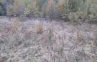 Teren de 10000 mp, în Central - 5