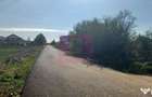 Sabareni, teren rezidential 6290 mp, cu 52m FS, utilitati in apropiere - Sabareni (Giurgiu)