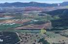 Teren 10,000mp Codlea / DN 1 - 5